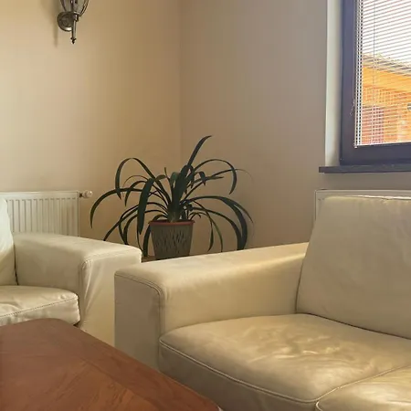 R Limoli Cozy Trávnica